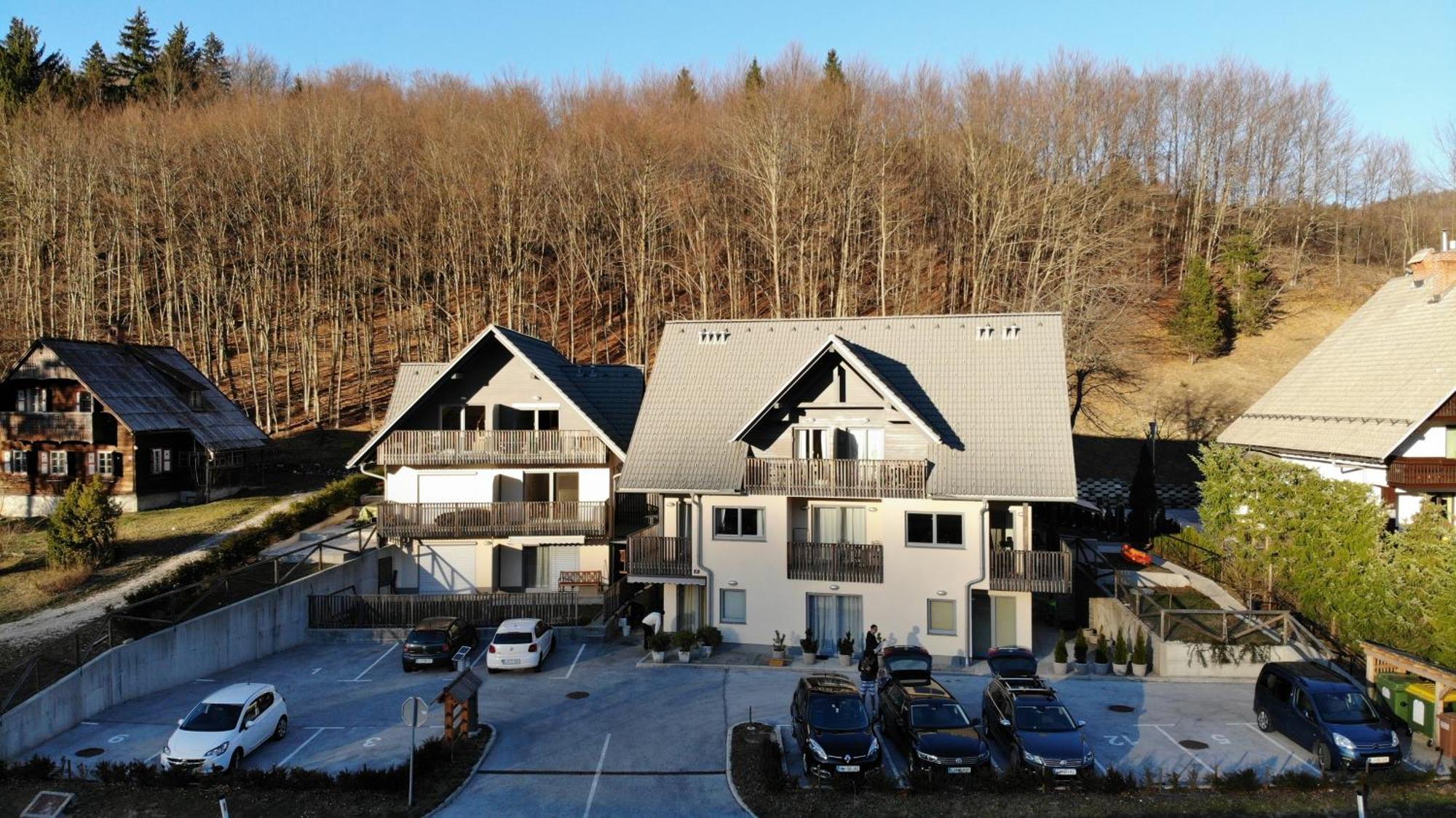 Apartment Manca-Holin Bohinj Zewnętrze zdjęcie